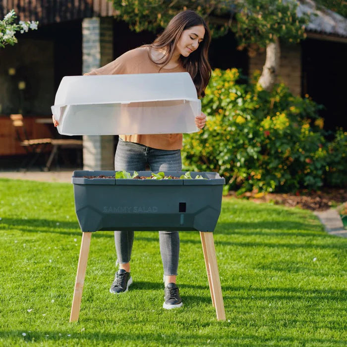 Bescherm uw salade met de transparante kap voor Sammy Salad