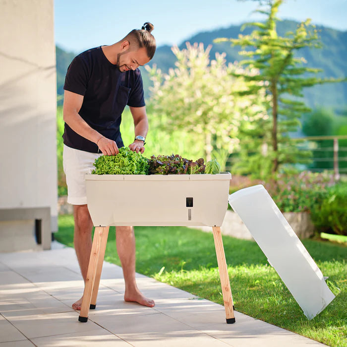 houd uw planten netjes en gemakkelijk bij met Sammy Salad van Gusta Garden
