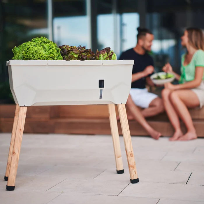 geniet samen buiten van de zon met Sammy Salad