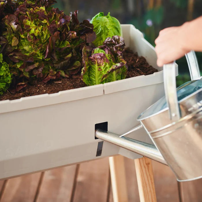 Sammy Salad met geïntegreerd bewatering systeem