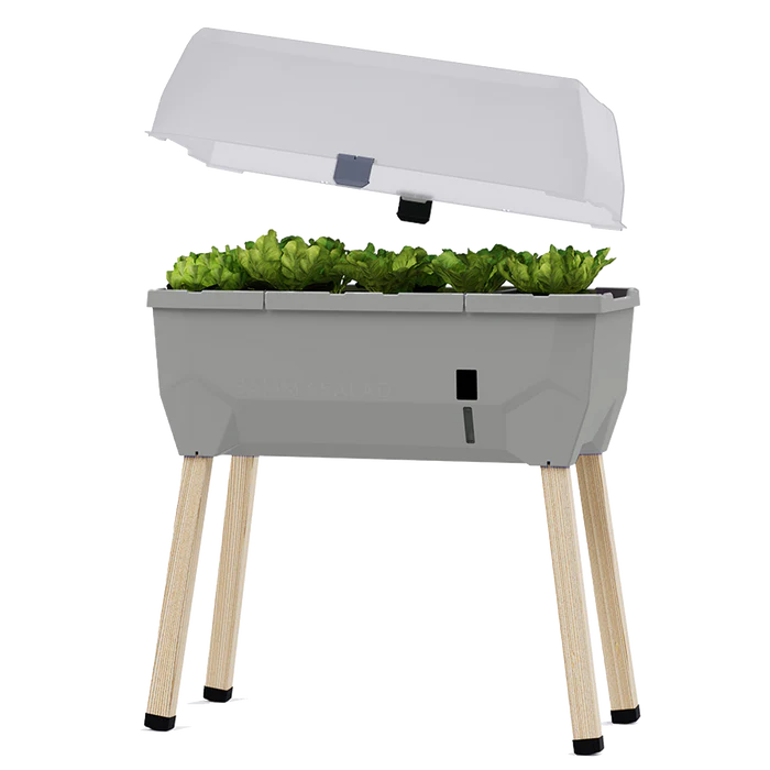 Sammy Salad kweekbak op poten ideaal om salade te kweken