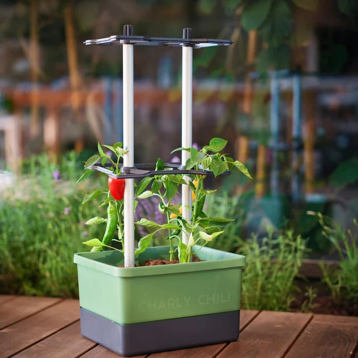 Charly Chili - Chilipot met Watertank en Klimsysteem - Lariwo