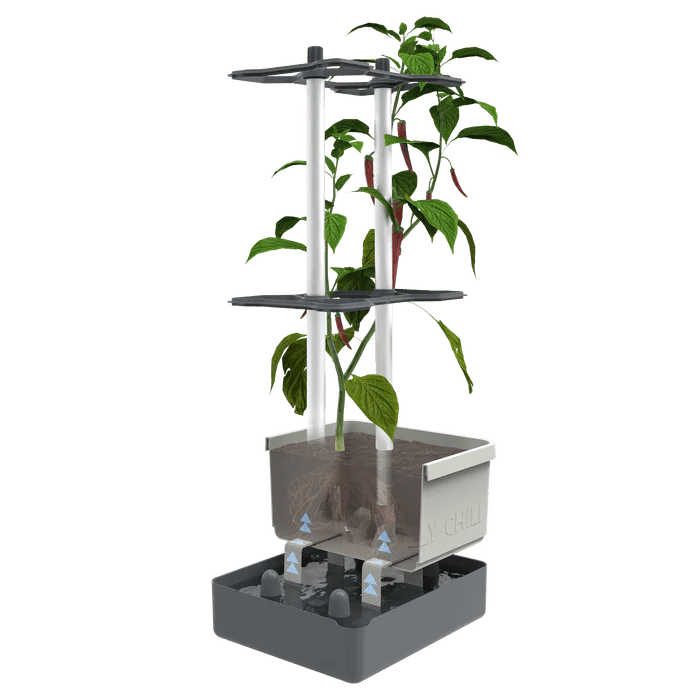 Charly Chili - Chilipot met Watertank en Klimsysteem - Lariwo