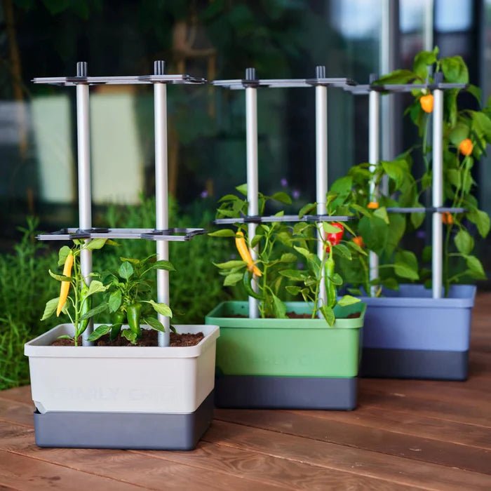 Charly Chili - Chilipot met Watertank en Klimsysteem - Lariwo