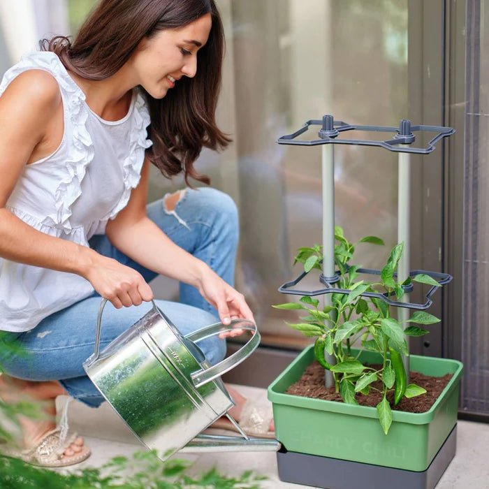 Charly Chili - Chilipot met Watertank en Klimsysteem - Lariwo