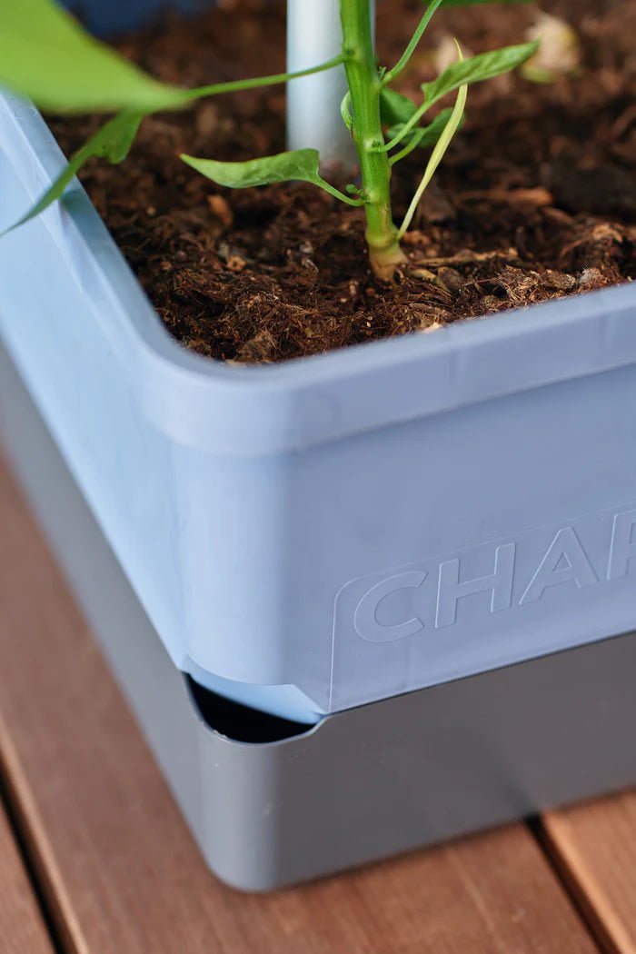 Charly Chili - Chilipot met Watertank en Klimsysteem - Lariwo