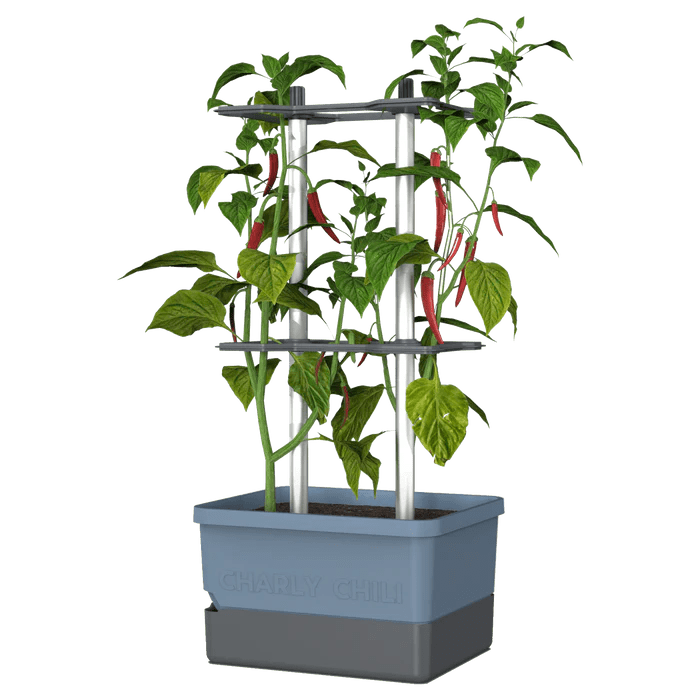 Charly Chili - Chilipot met Watertank en Klimsysteem - Lariwo