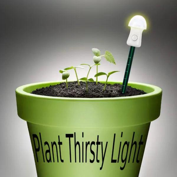 Planten Thirsty Light - Lariwo