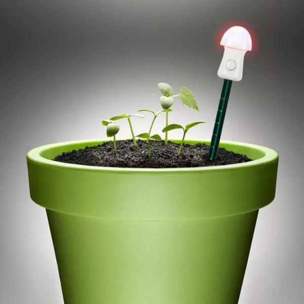 Planten Thirsty Light - Lariwo