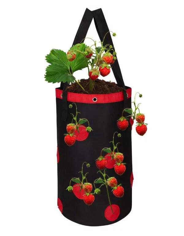 PlantGrowBag Hangend – Aardbei – Kruiden – Tomaten – Bloemen - Lariwo