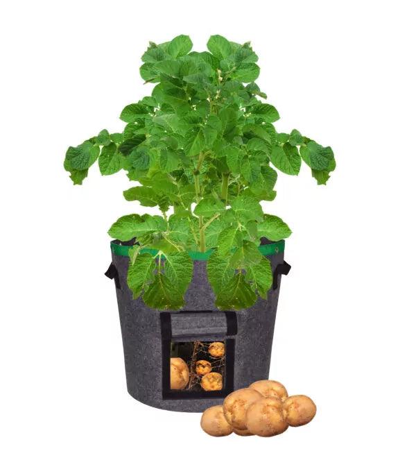 PlantGrowBag met Venster – Aardappel – Wortelen – Uien - Lariwo
