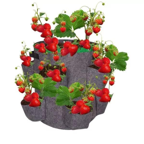 PlantGrowBag Staand – Aardbei – Kruiden – Bloemen - Lariwo