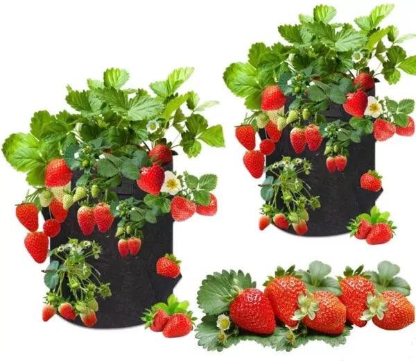 PlantGrowBag staand aardbei-kruiden-bloemen zwart - Lariwo