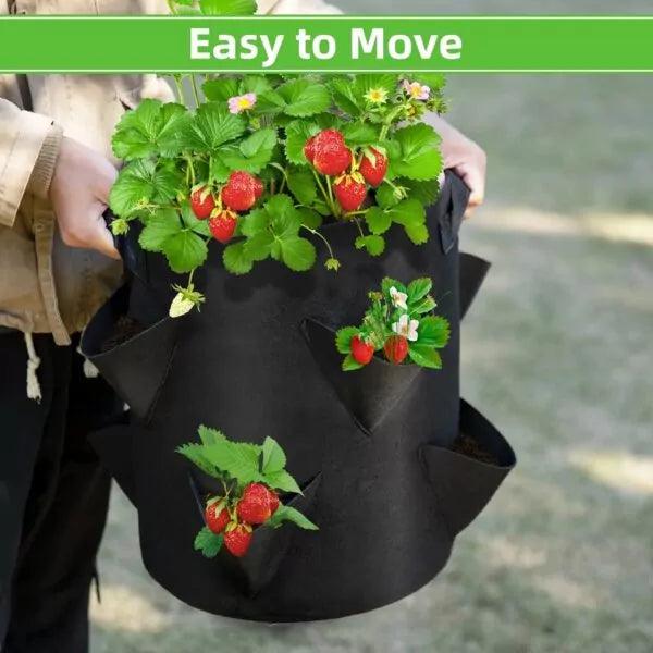 PlantGrowBag staand aardbei-kruiden-bloemen zwart - Lariwo