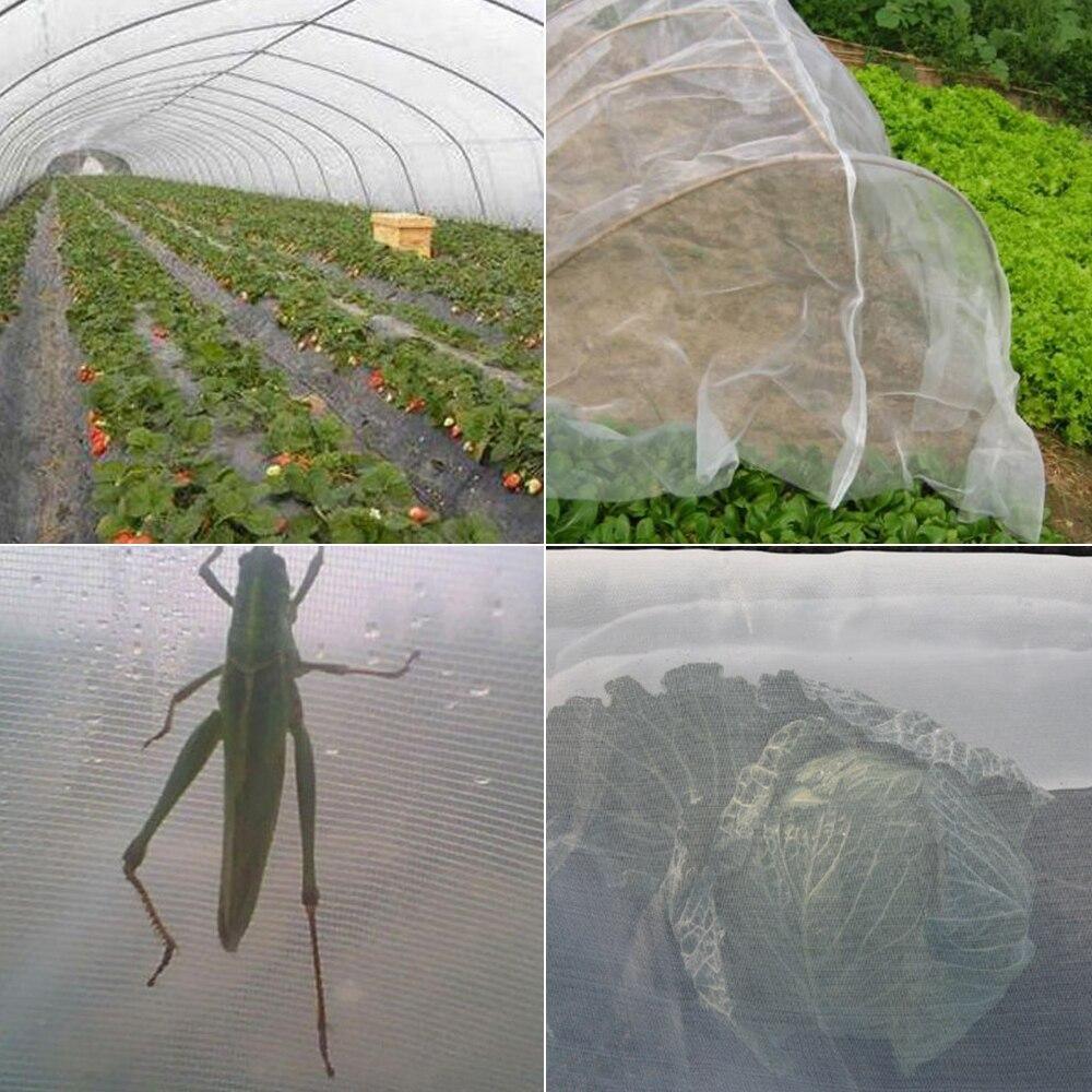 anti insecten net in beschermt een groot gewas tegen krekels