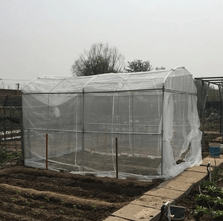 kleine kas in een moestuin bedekt met anti insecten net
