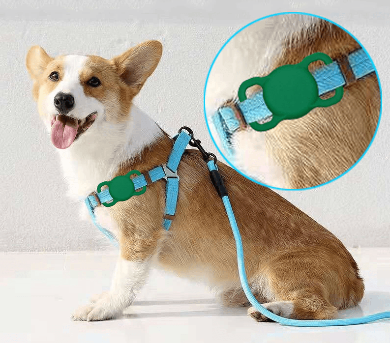 honden riem met apple airtag houder groen