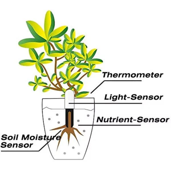 Bluetooth 4 in 1 plant care monitor - Lariwo