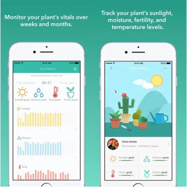 Bluetooth 4 in 1 plant care monitor - Lariwo