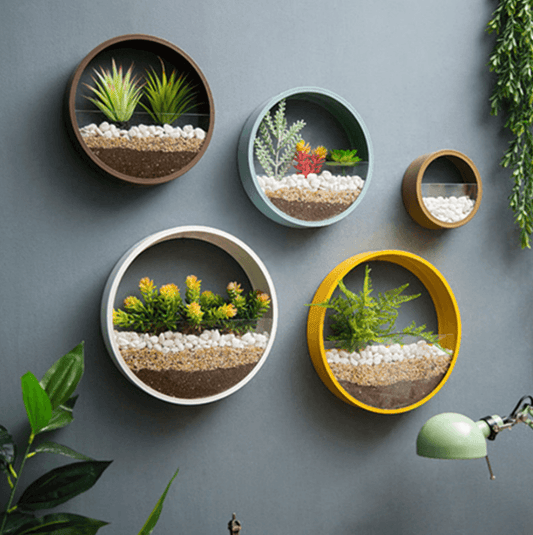 Stijlvolle ronde plantenhouder voor aan de muur, geschikt voor het ophangen van verschillende soorten planten.