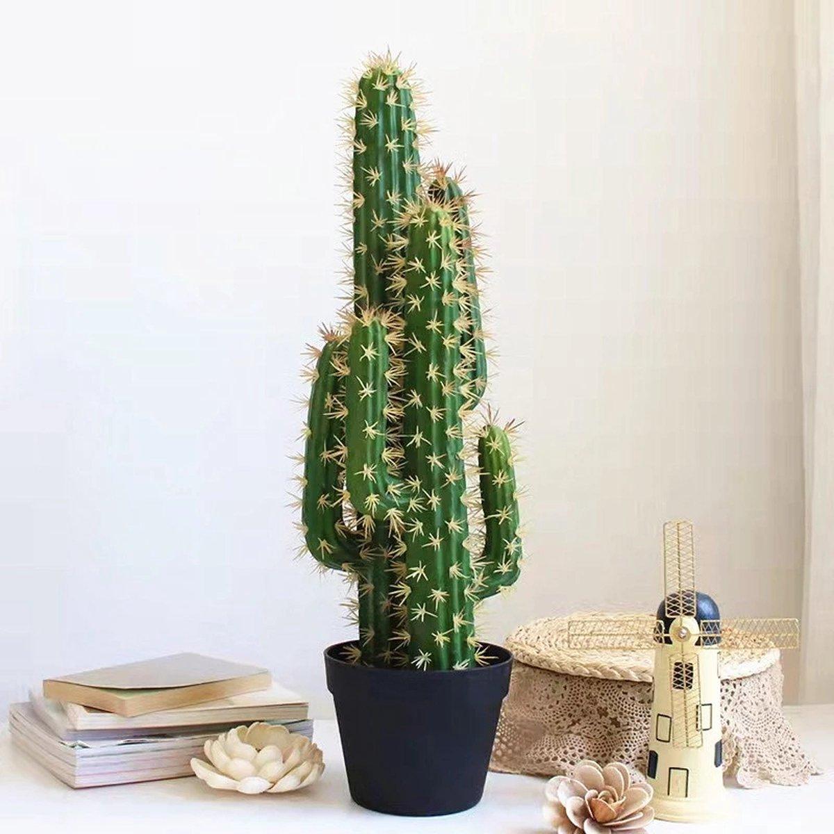 Simple Solutions kunst cactus