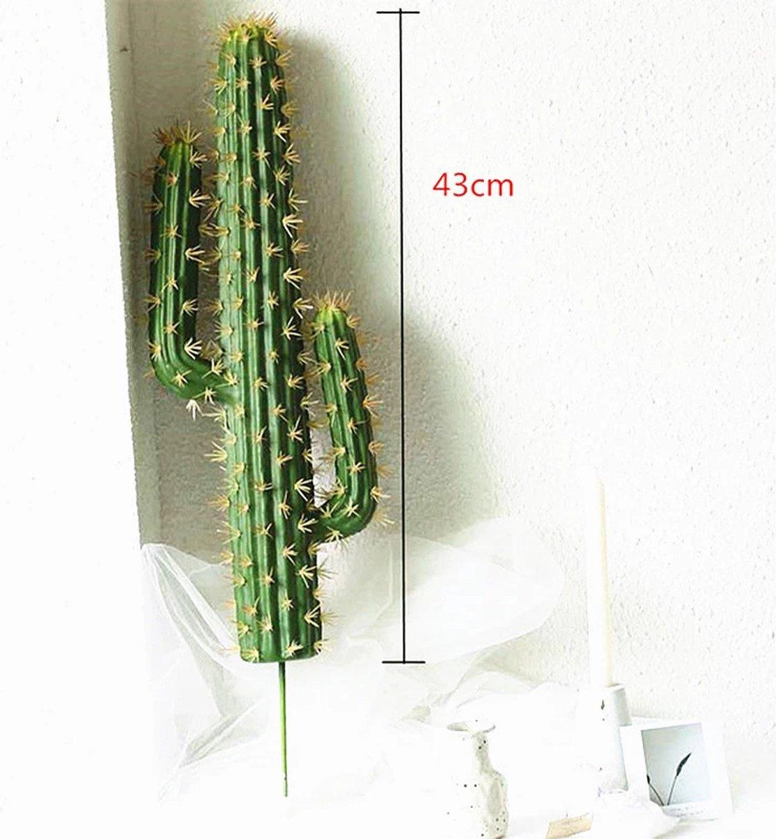 afmetingen van de simple solutions kunst cactus