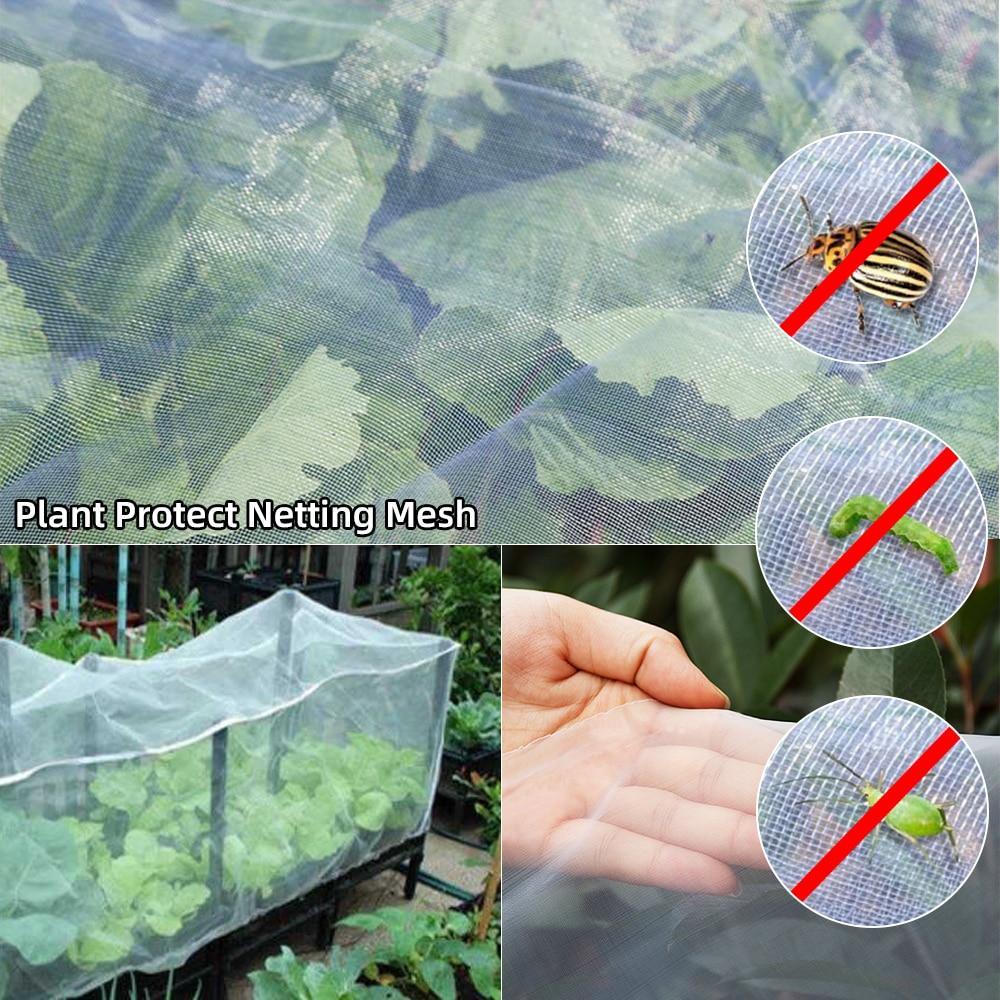 voorbeeld van gewassen die beschermd worden tegen insecten met het anti insecten net 